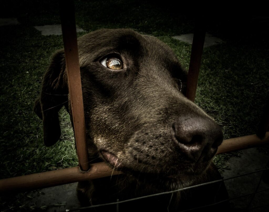 20代が未経験でも採用してもらうための方法は？