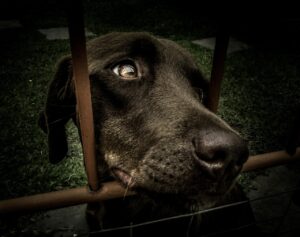 20代が未経験でも採用してもらうための方法は？