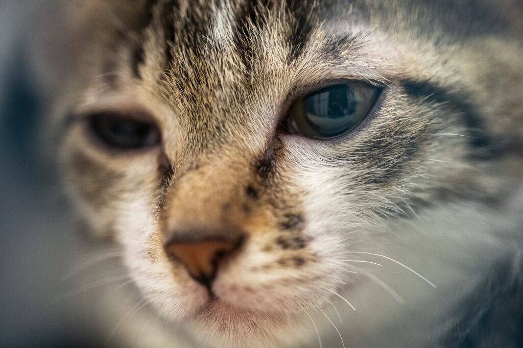 未経験の20代が採用してもらうための効果的な方法は？