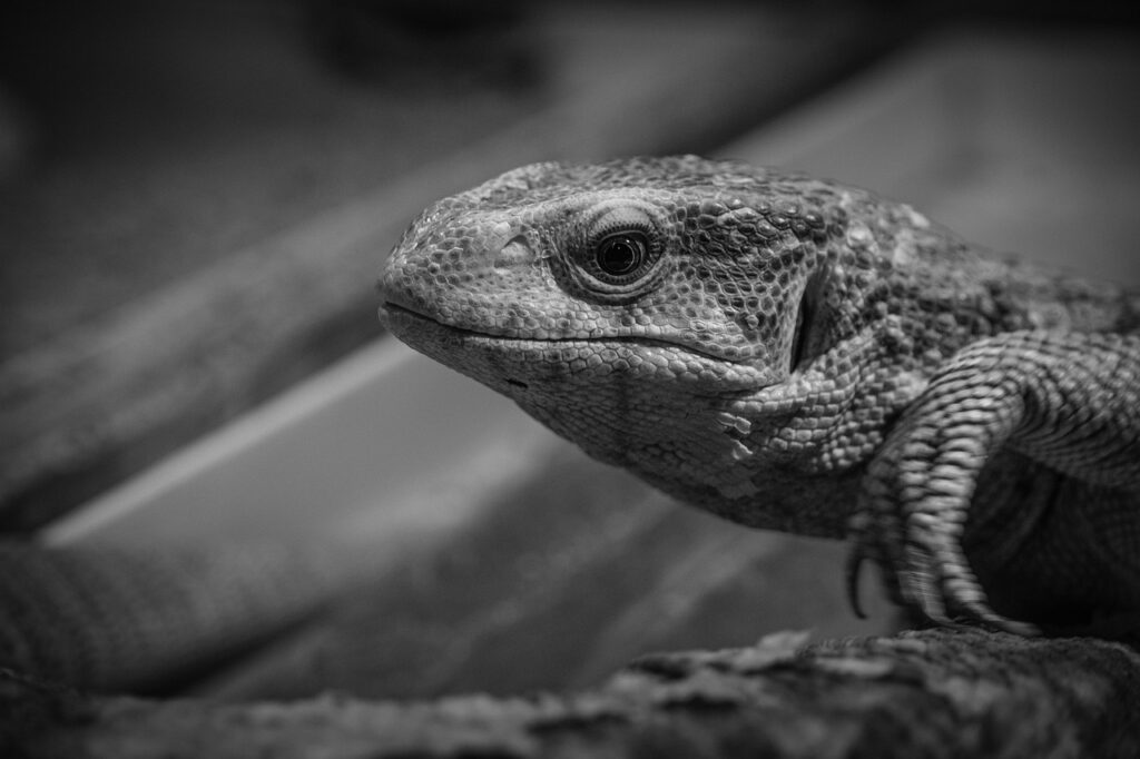 転職エージェントへの断り方はどうすれば良い？