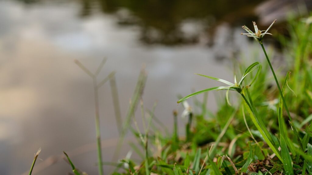 未経験者向けの職務経歴書自己PRの例文は？