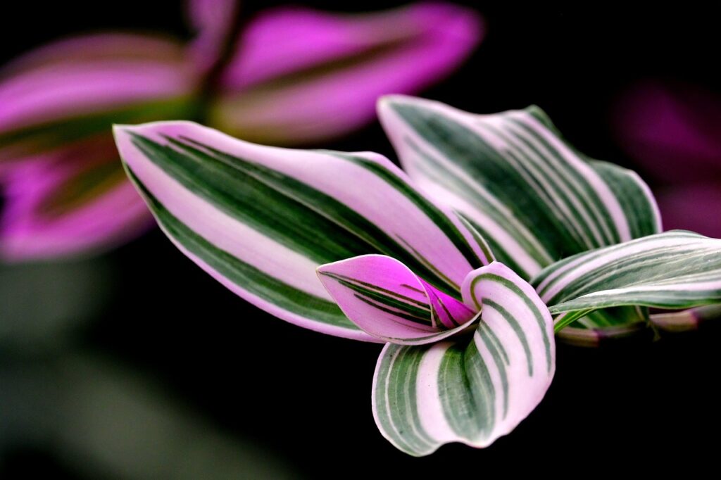 異業種転職に役立つ志望動機の例文は？