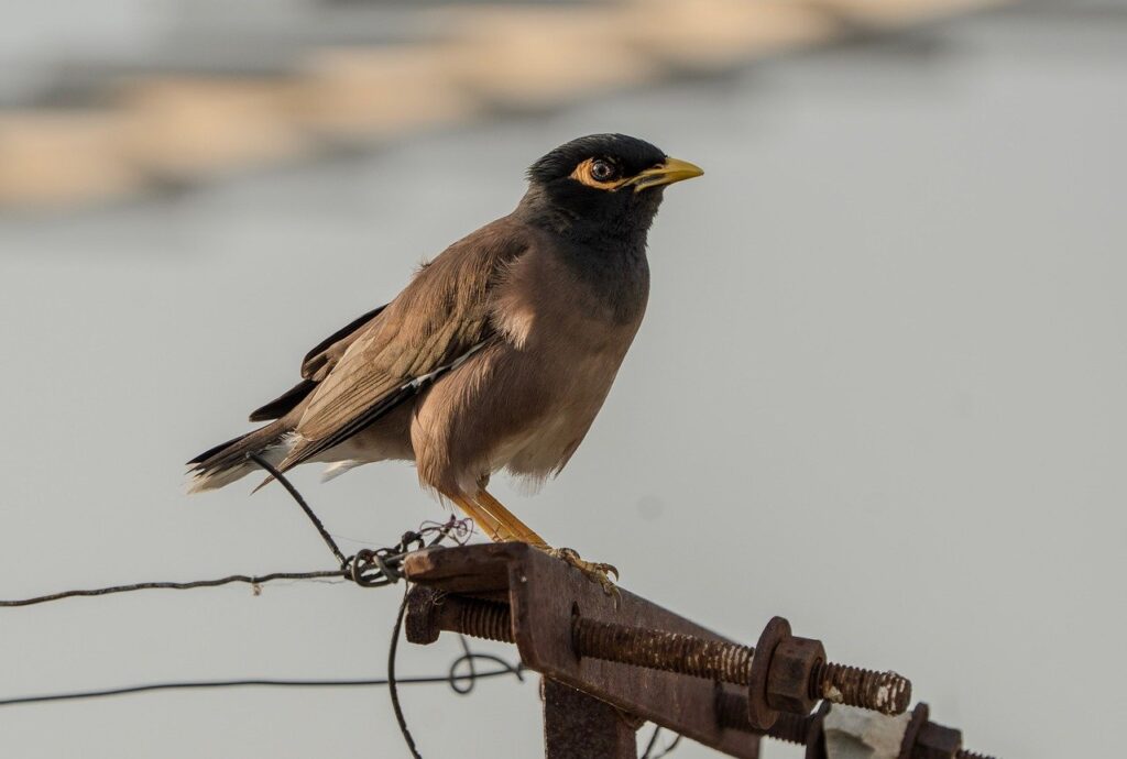 マイナビエージェントウーマンを利用するメリットとは？