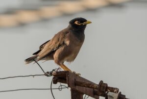 マイナビエージェントウーマンを利用するメリットとは？