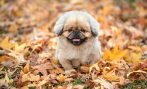 マイナビ転職の女性評判はどのように評価されているのか？