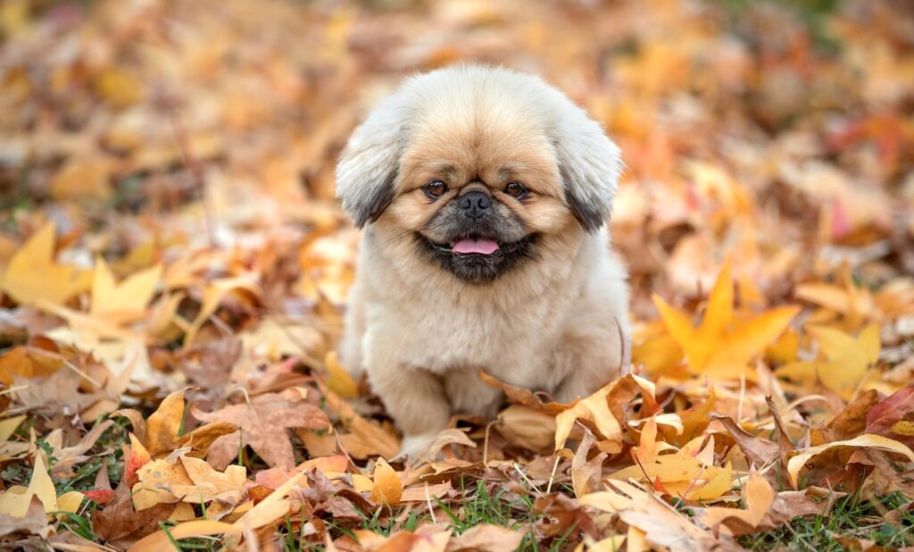 志望動機が書けないときの対処法は？