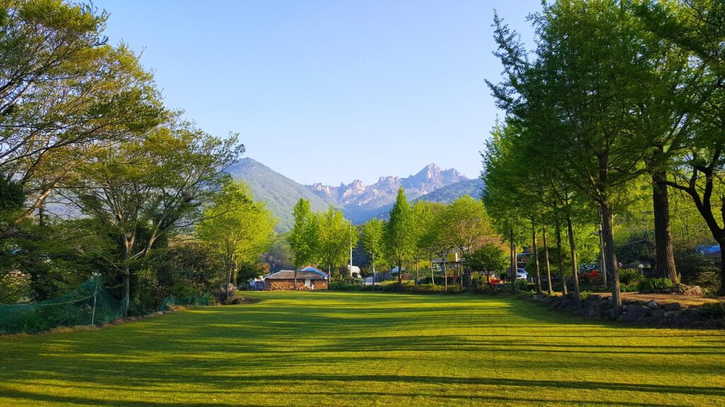 転職に何ヶ月かかるのが20代女性にとっての一般的な目安は？