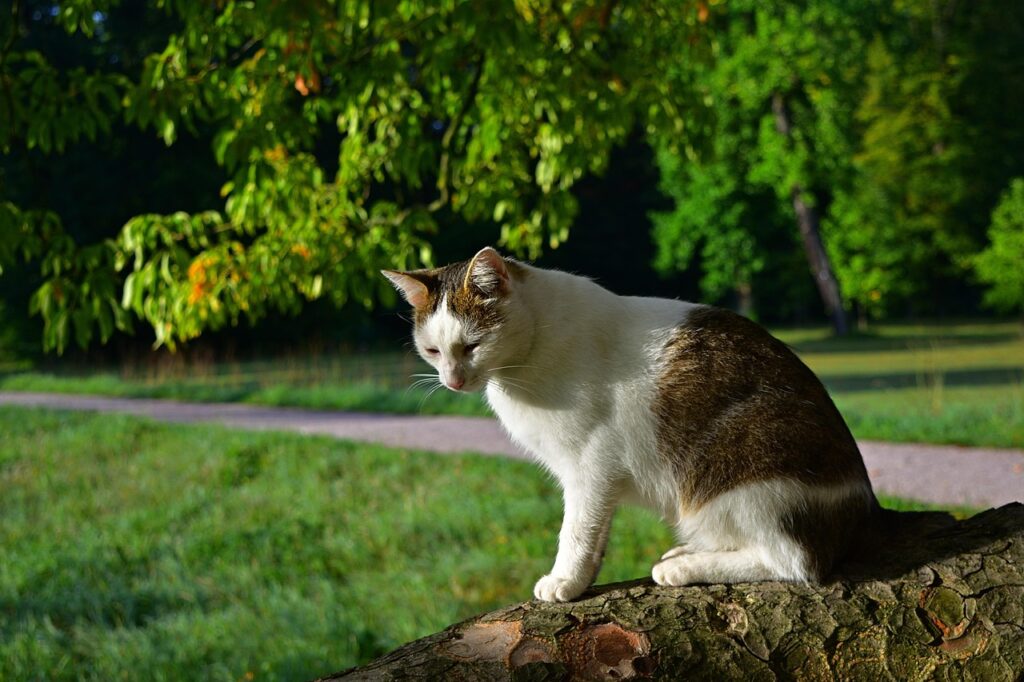 女性が転職を迷っているときに考えるべきポイントは？