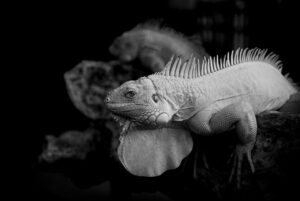 異業種への転職を成功させるためのポイントは？