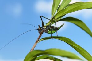 転職を無資格で成功させるためのポイントは？